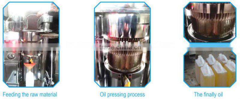 Good quality olive oil extraction equipment machine make olive oil
