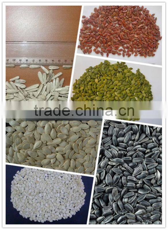 Good quality Watermelon seed Kernels