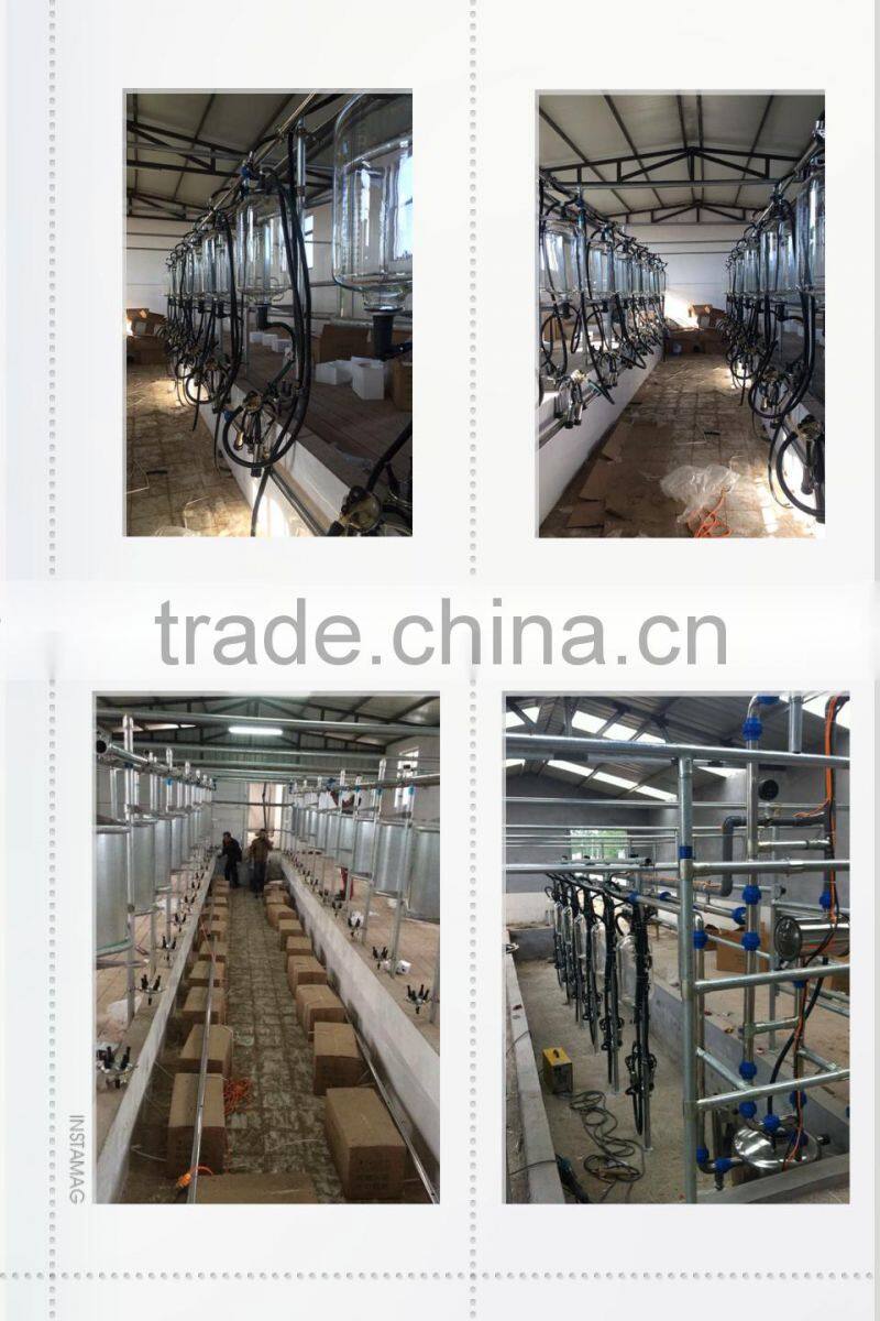 10cows positions fishing bone milking system