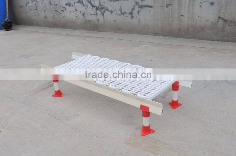 2016 best selling high quality plastic floor for poultry