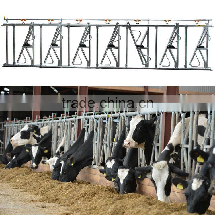 hot dipped galvanized livestock equipment--cattle equipment