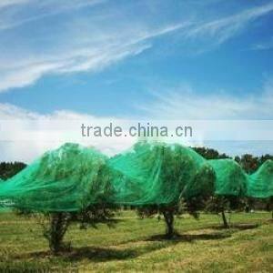 Bird netting protects crops from bird damage, against UV degradation