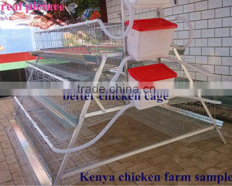 Layer cages/Chicken layer cages/ Laying chicken cage
