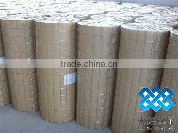 galvanized wire mesh( welded wire mesh)