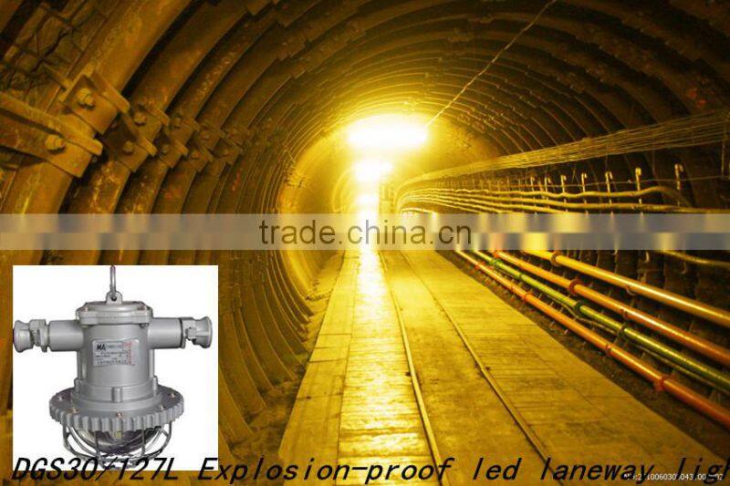 DSG12/127L(A) Round Explosion-proof laneway light/OEM
