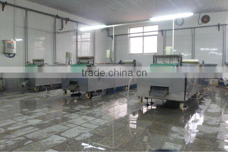 Fruit pitter /date/olive/Plum/Apricot/Hawthorn/Cherry Pitter