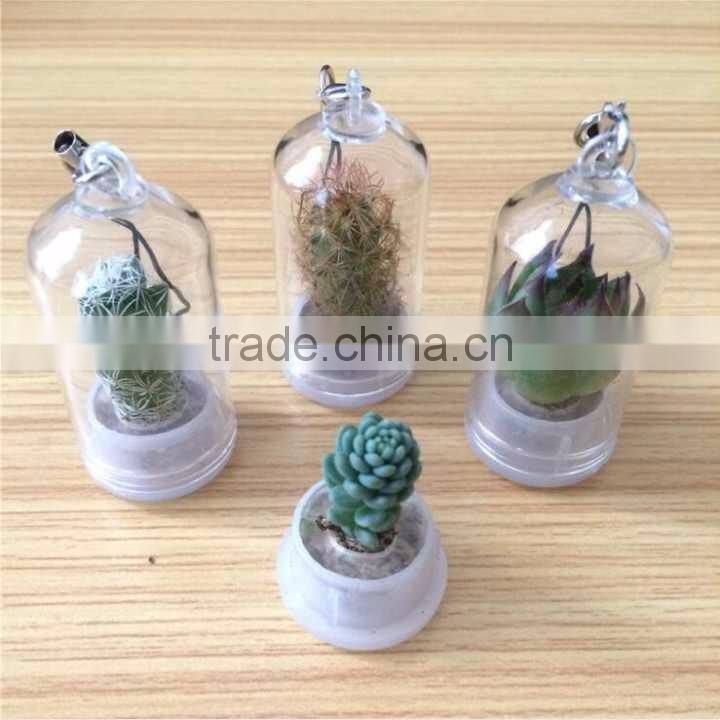 Wholesale Factory Cheap Glass Potted Meaty Cactus Plant Keychain, Super Mini Personal Gift Decorative Keychain Plant Design