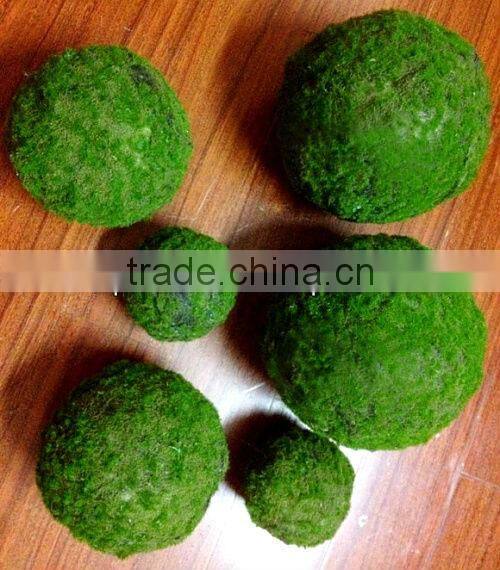 moss ball wreath/decorative green moss balls/topiary moss ball