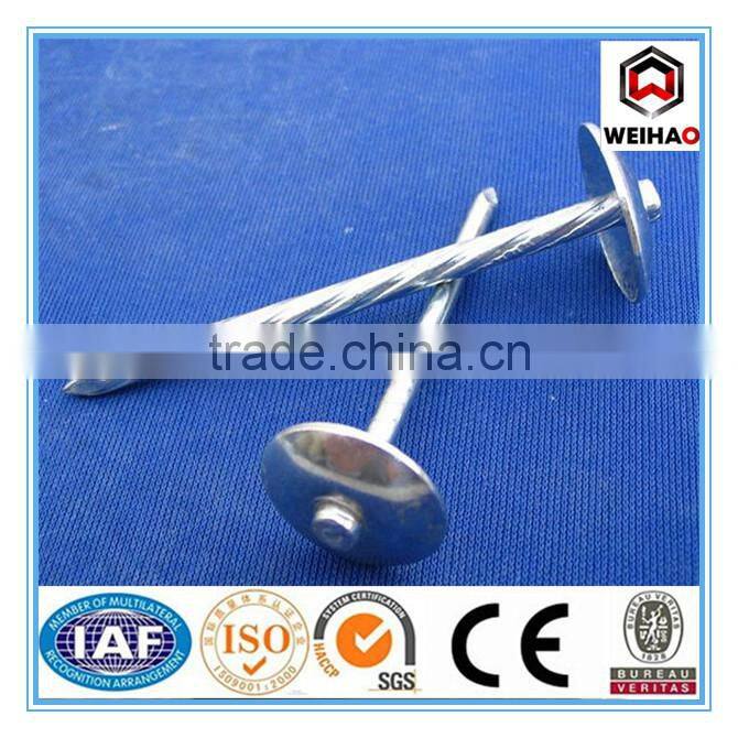 Umbrella head galvanized roofing nail with wahser