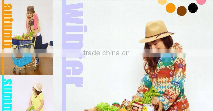 Beautiful bicycle basket MAHALO basket with Various made in Japan