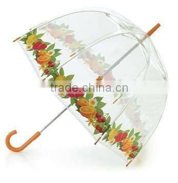 Transparent Clear Dome Umbrella