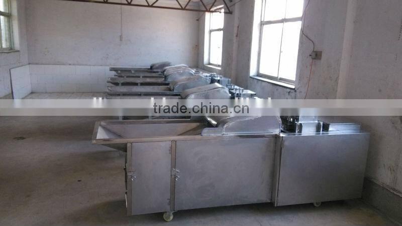fruit pitter machine|olive pitter| fruit stoning machine