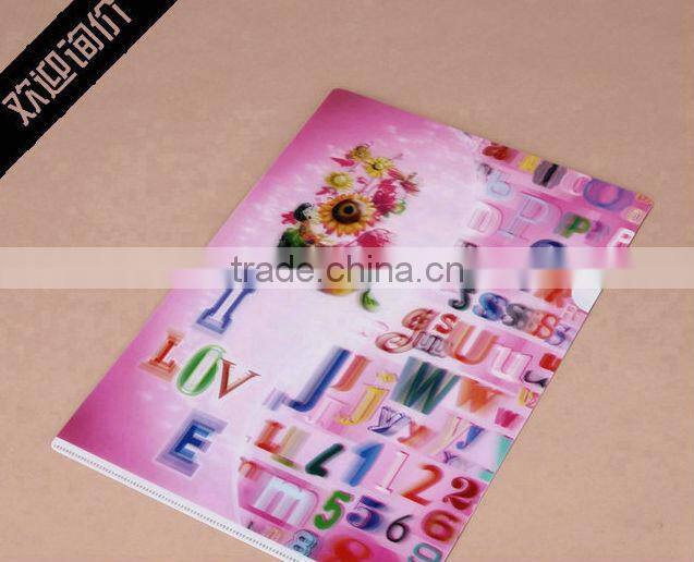 hot sale PP eco-friendly material lenticular 3D file folder