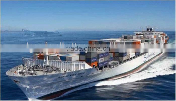 c size zinc carbon dry battery
