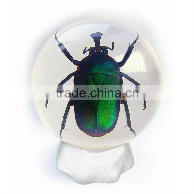 6.0 cm real resin acrylic marble ball with bugs