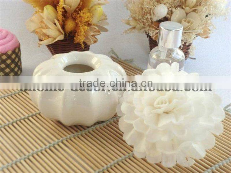 100ml ceramic aroma diffuser/aroma reed diffuser /home fragrance diffuser