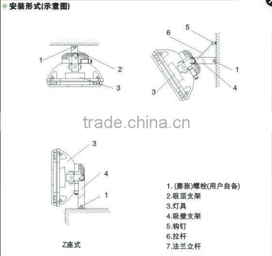 Explosion proof induction flood light