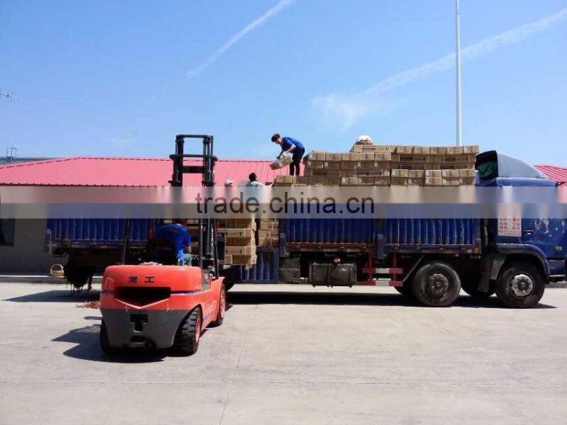 Intelligent integrated 20W solar street light with motion sensor