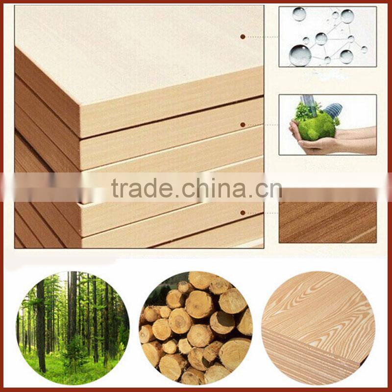 2016 newest design of office fashion chair of chair