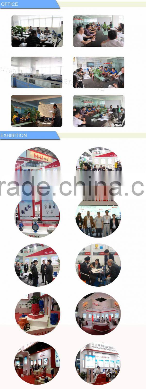 2 way ball valve with electric actuator-AC220V