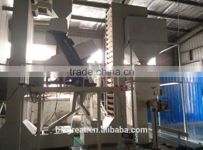 Supply Chinese Roasted Salted White Sunflower Seeds with Good Quality For Sales