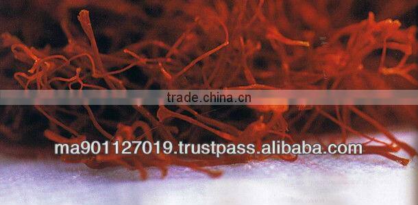 Pure Moroccan Saffron 100% BIO ( The Best Quality In World)