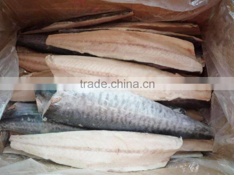 FROZEN KINGFISH SPANISH MACKEREL