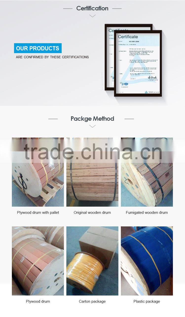 Hot Sell Fiber Core Custom Gjsfjv G657 Fiber Optic Cable