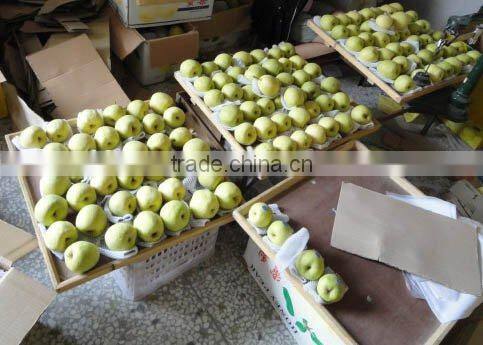 gong pear 2012
