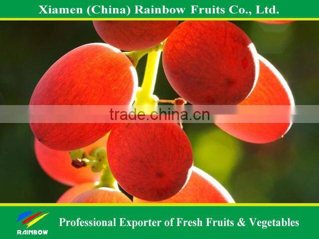 export delicious sweet fresh red globe grape red globe grape from China