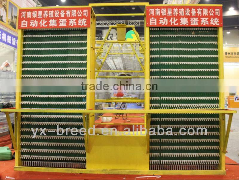 New type of poultry farm auto egg collecting machine