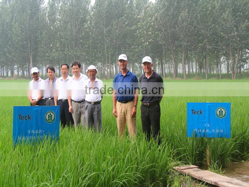 21% Zinc Sulphate Heptahydrate white crystal/china biggest zinc sulphate supplier