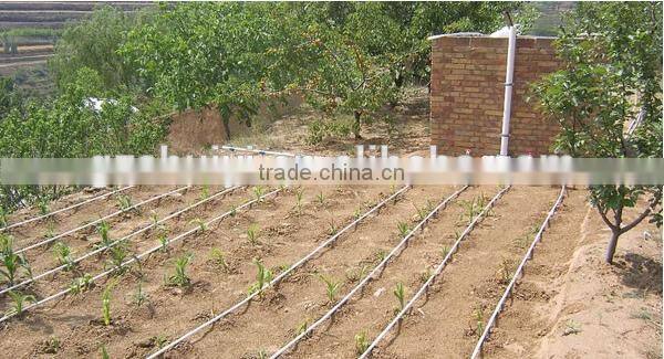 Drip irrigation system for flower