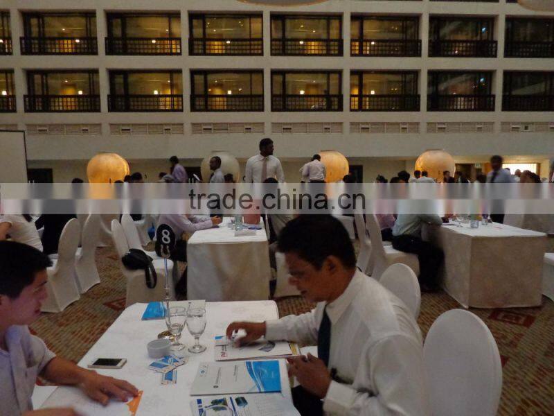 Belt Conveyor/Material Handling Equipment/Rubber Belt Conveyor/Belt Conveyor System/ Mobile Belt Conveyor/Movable Belt Conveyor