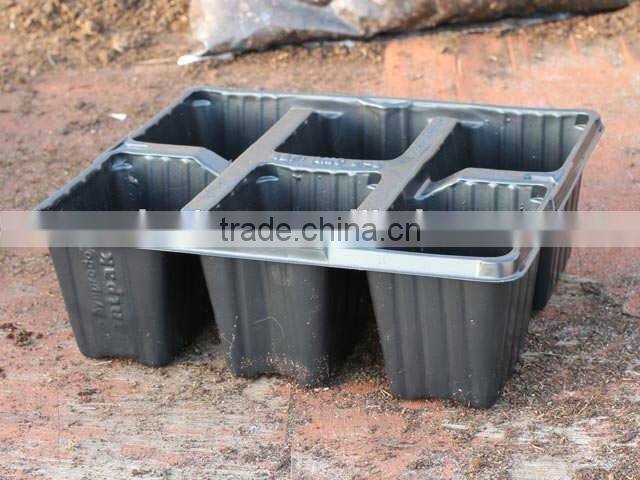 8 cell small black plastic seed tray insert trays, stock MOQ 10000pcs