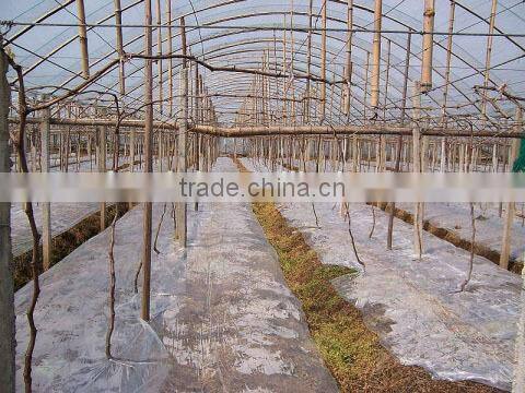 Coextruded PE Cover Film PE greemhouse film for grape greenhouse