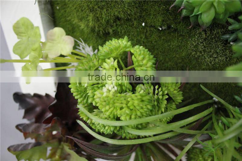 for home garden tiles deco 30*30*7cm paint color indoor artificial succlent boutique plant wall laminate combinations Ejq10 1205