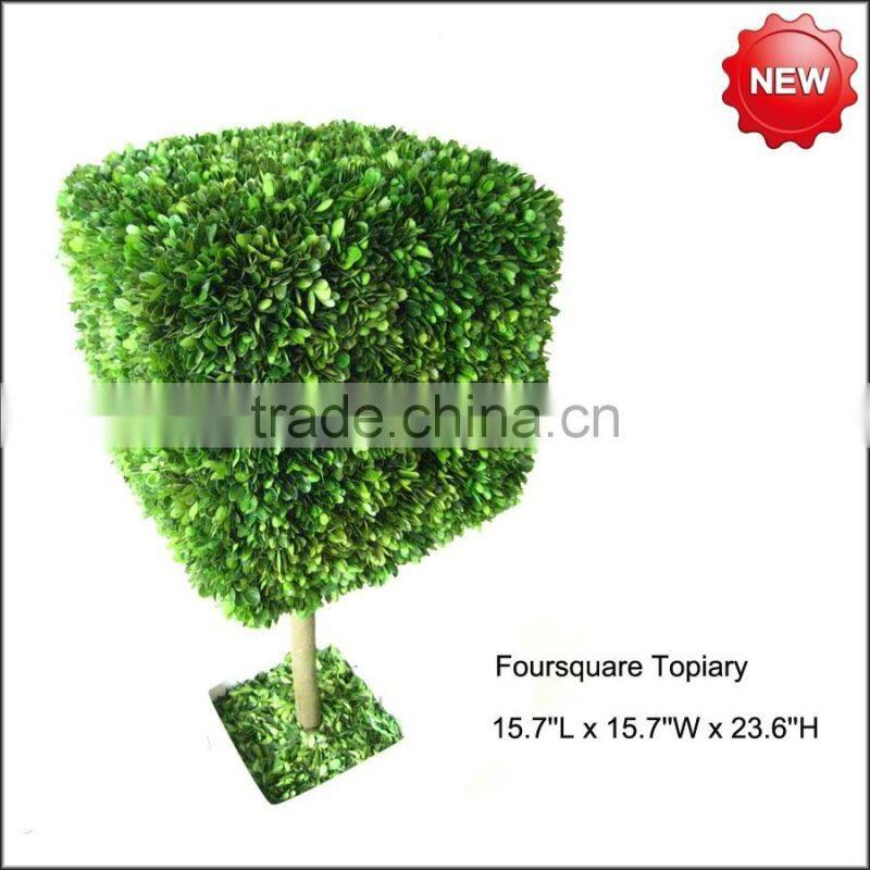 Preserved foursquare boxwood topiary