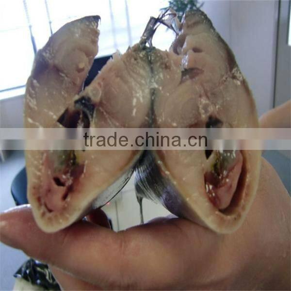 iqf frozen wholesale fresh fish