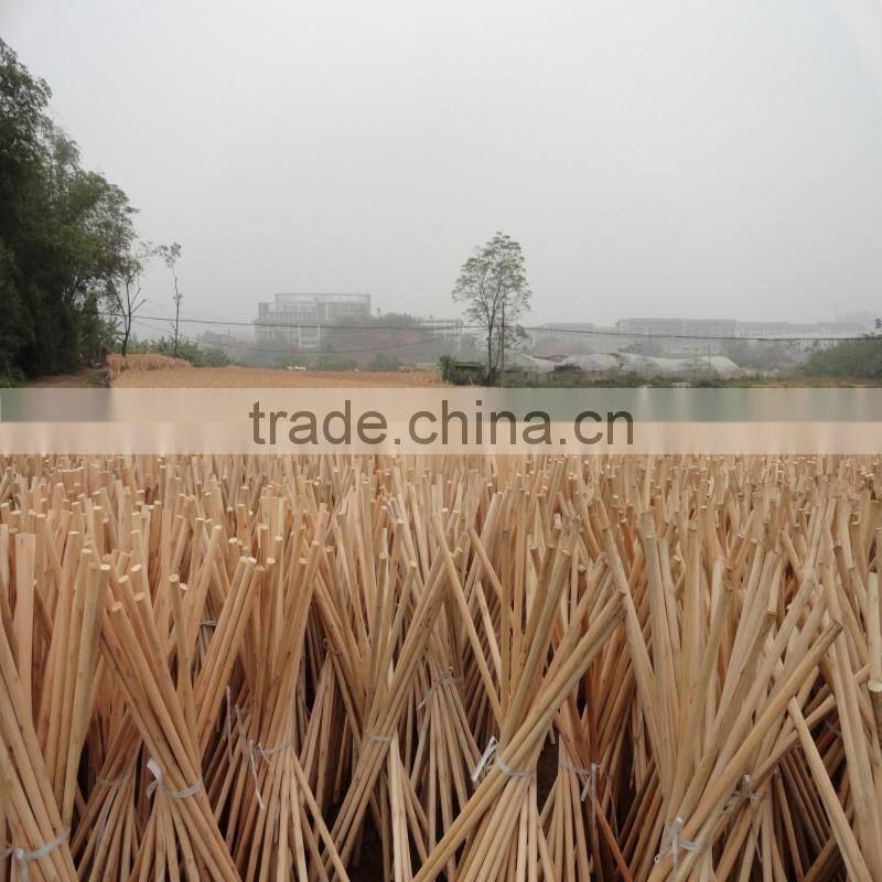 Small cap round wood broom pole