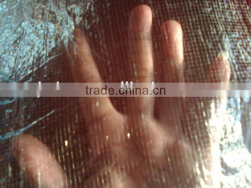 PP transparent woven bag for peanuts