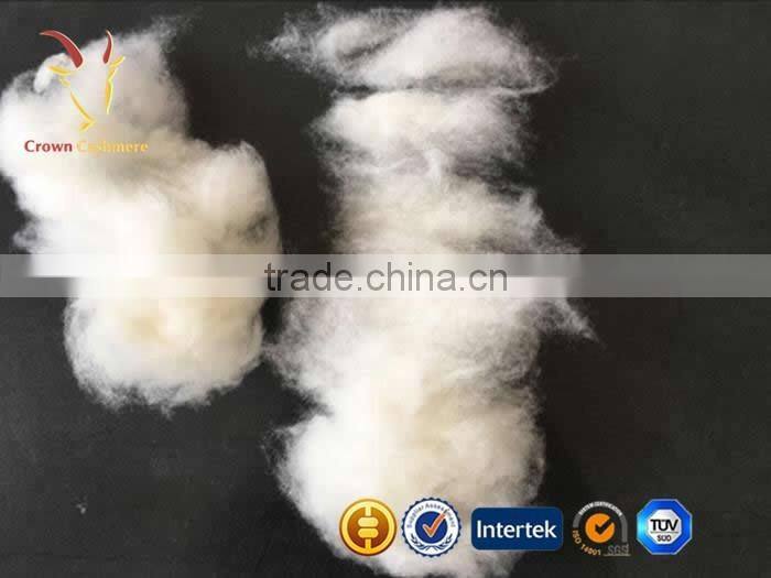 High Quality Combed 100% Cashmere Wool Fiber