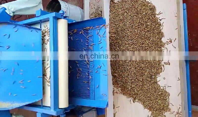 Multifunctional Tenebrio molitor selecting machine separating plant for yellow mealworm