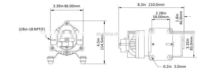 SEAFLO 12V 80PSI 5.6LPM Mini Pump Sprayer Water Pump for Sprayer