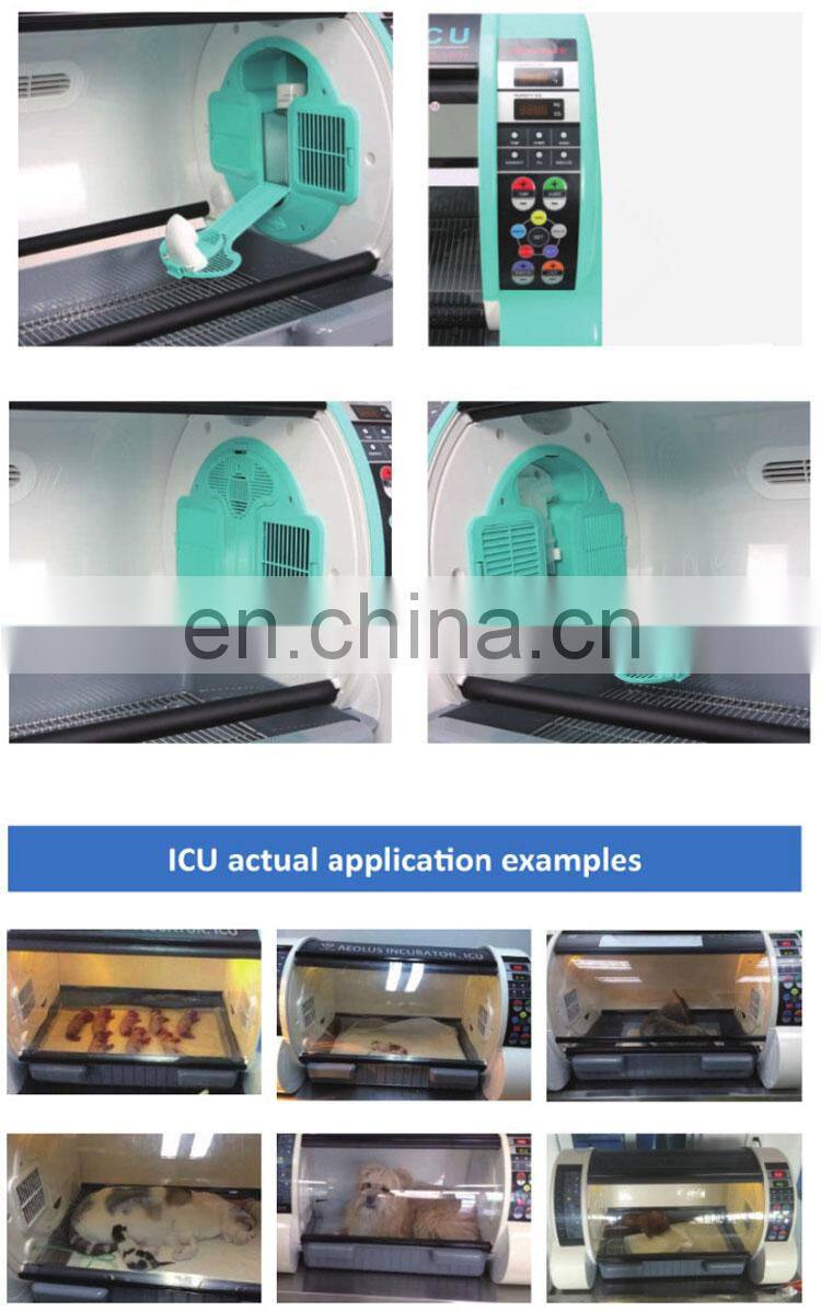 Accurate temperature & humidity control veterinary equipments pet incubators for sale