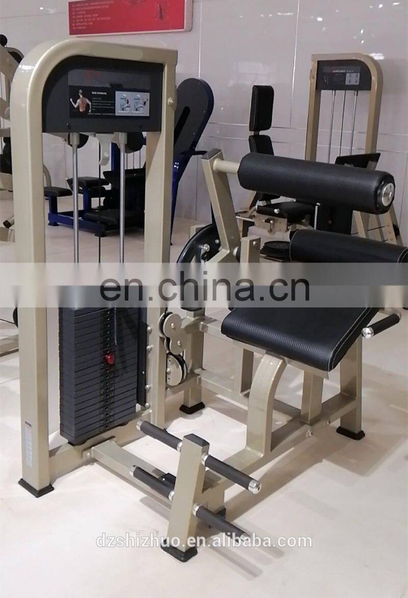Good design top quality commercial classical life line gym exercise fitness equipment BACK EXTENSION machine SM02-15 for sale