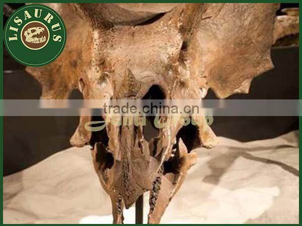 Lisaurus-0047 Buried Discovery Science Dinopark Dinosaurs Fossils Replica