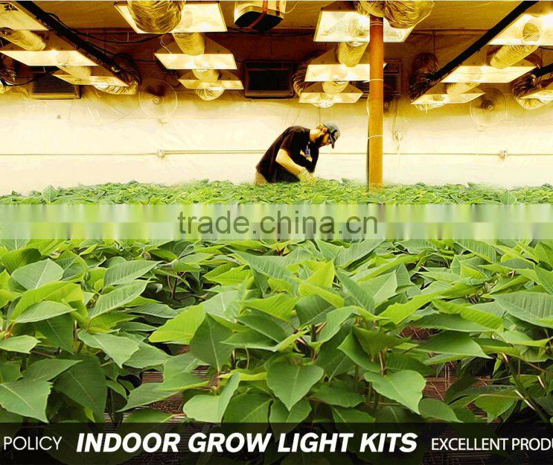 300W Veg/Flower/Full Spectrum LED Grow Light Hydroponic System Vertical Equipment Grow