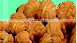 walnut cake making machine/industrial walnut cake machine/puff cake machine