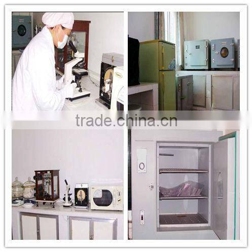 Christmas Kitchen Dinner take away disposable biodegradable fast food containers good for environment